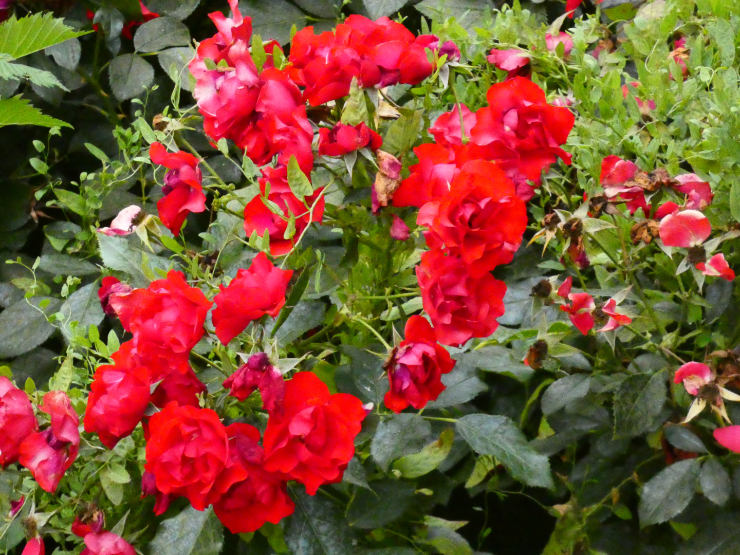 P1050290