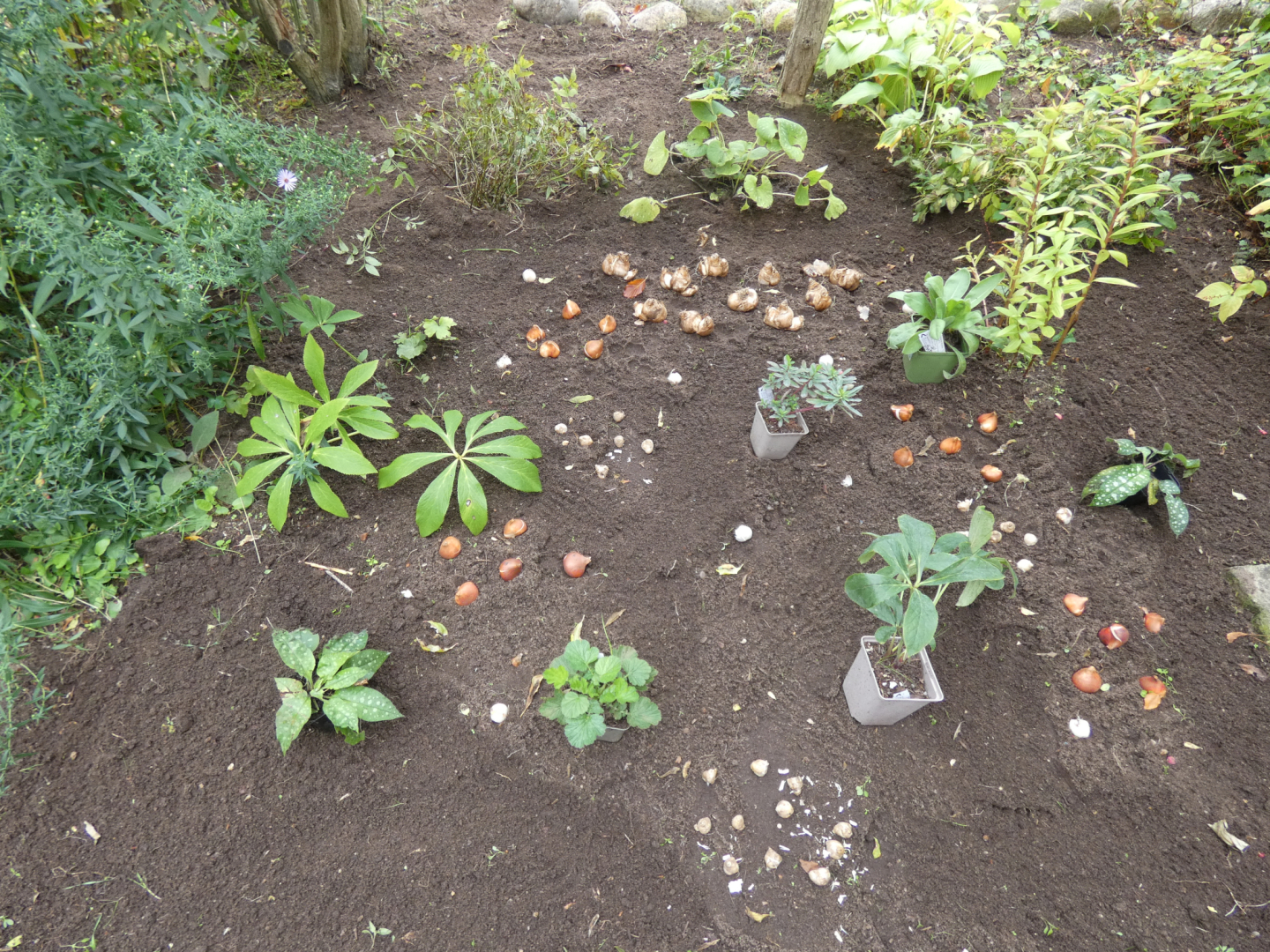 Frühlingsbeet
