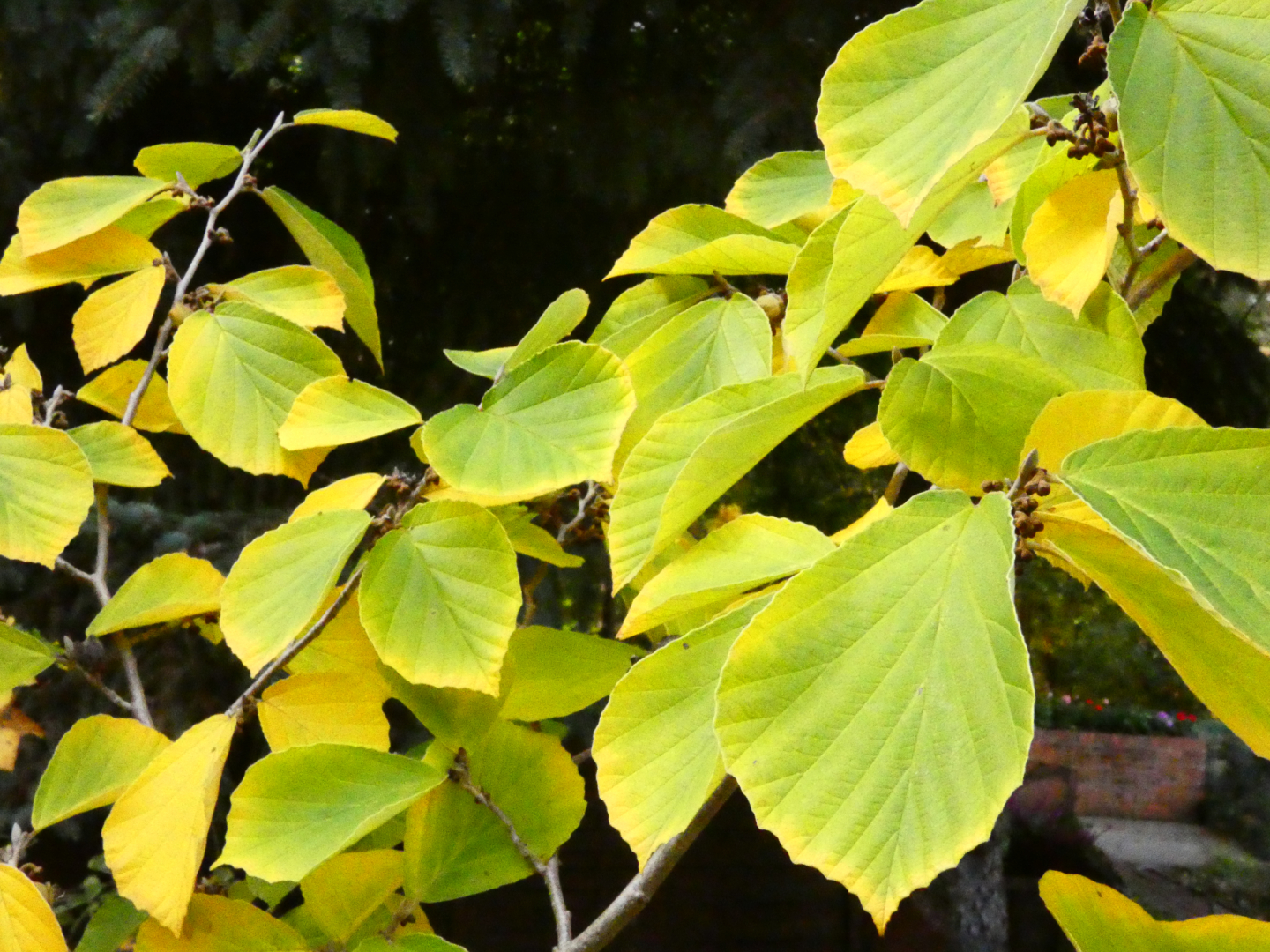 P1050622