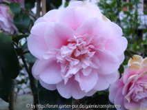 'B. Lauterbach' - 12.04.2007