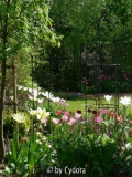 Garten im Frühjahr 2007