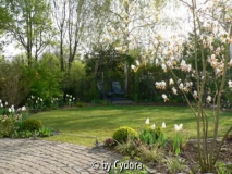 Garten im Frühjahr 2007