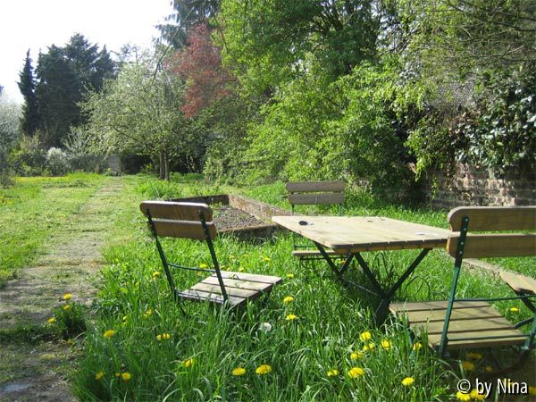 Wilder Garten