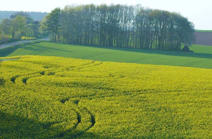 Feldansichten 1