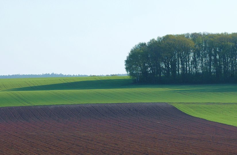 Feldansichten 2