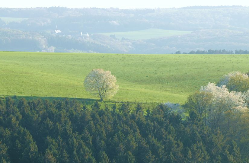Feldansichten 7