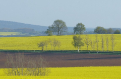 Feldansichten 10