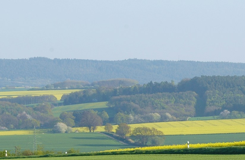 Feldansichten 11