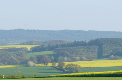 Feldansichten 11