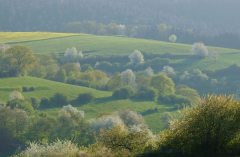 Feldansichten 14