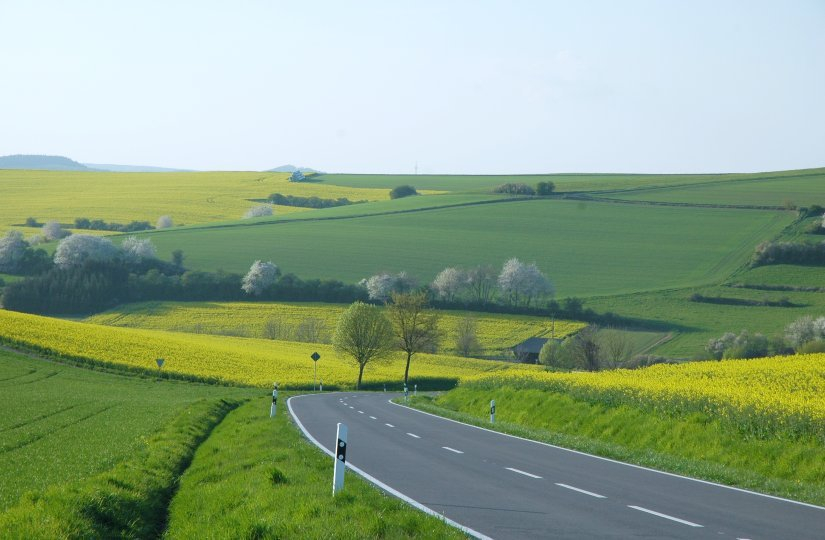 Feldansichten 15