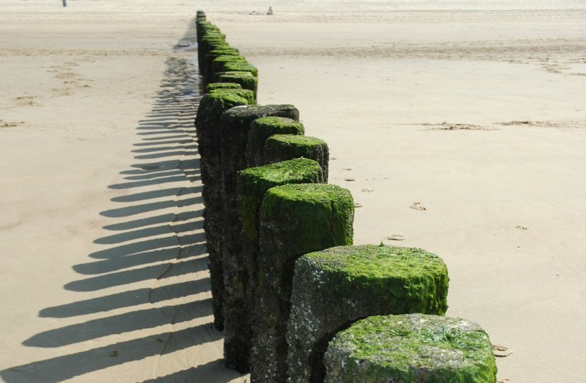 Cadzand 2