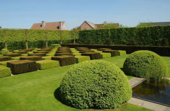 Topiary 1