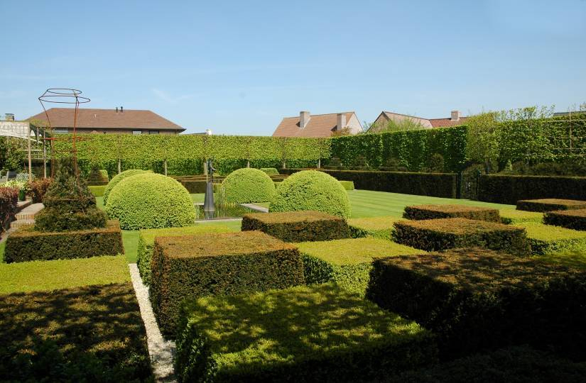 Topiary 3