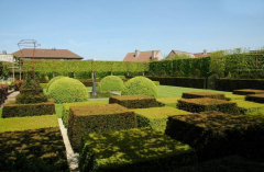 Topiary 3