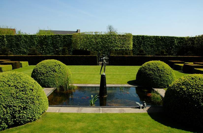 Topiary 4