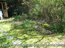 Schatten 1