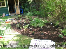 Schatten 5