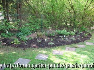Schatten 6