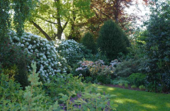 Gartenansichten 1