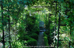 Gartenansichten 2