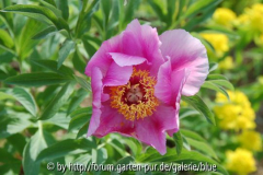 DSC_5922_resize.JPG