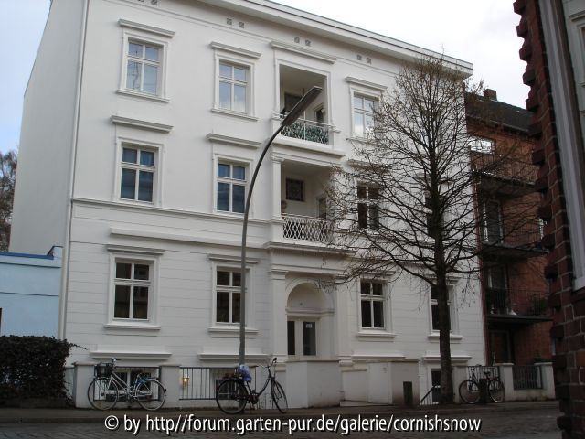 Haus