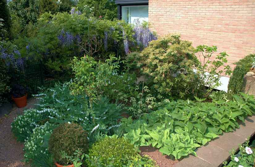 Gartenansichten 1 Mai 2007
