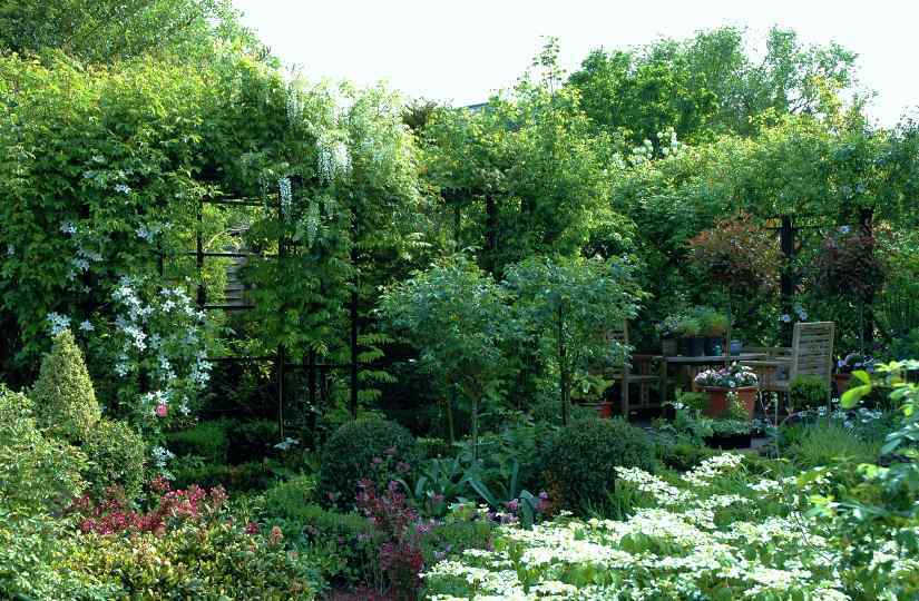 Gartenansichten 2 Mai 2007