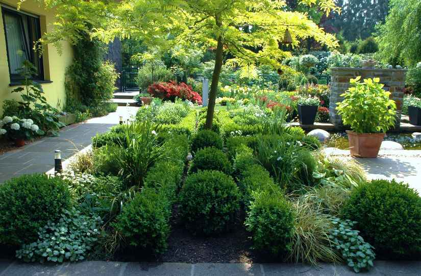 Gartenansichten 3 Mai 2007