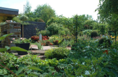 Gartenansichten 4 Mai 2007