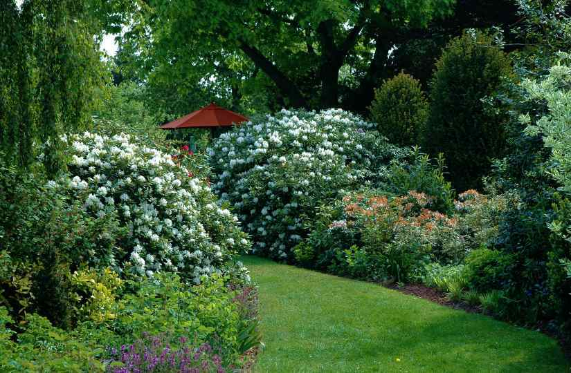 Gartenansichten 7 Mai 2007