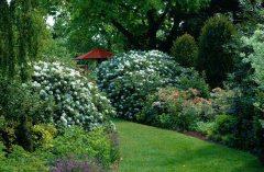 Gartenansichten 7 Mai 2007