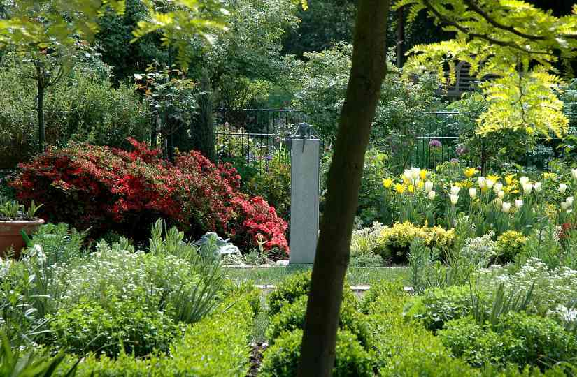 Gartenansichten 8 Mai 2007