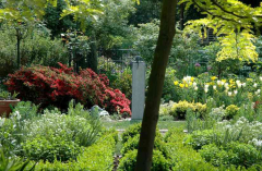Gartenansichten 8 Mai 2007