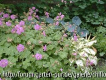 09_06_2005 019.jpg