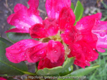 PIC_0073_opt.jpg