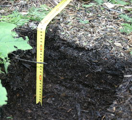 Mulchdicke