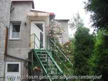 Unser Rosenquartier