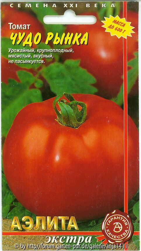Tomate 2