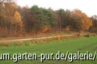 am reichswald