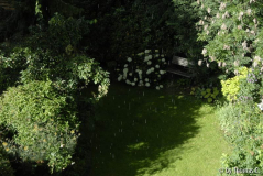 Sonnenregen 1