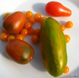 070630_Ernte
