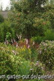 der garten