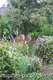 der garten