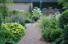 Garteneinblicke 01-07-2007 2