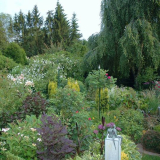 Garteneinblicke 01-07-2007 7