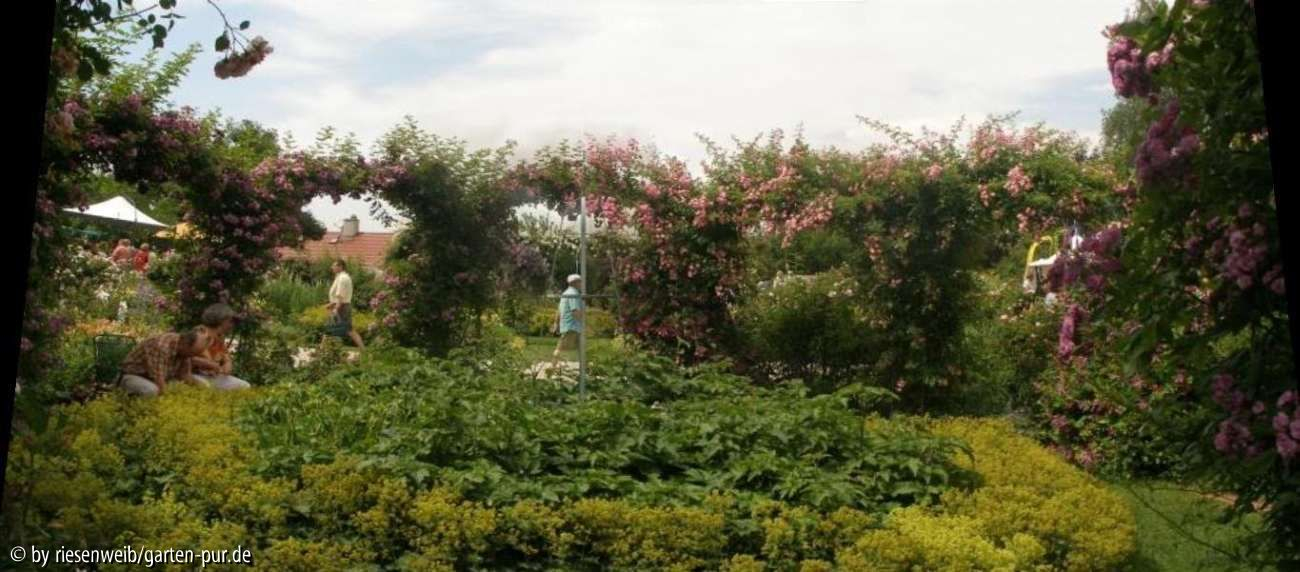 gartentage Seitenstetten 2007 - rosengarten