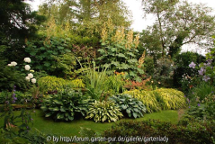 Garten-mit-Macleya.jpg