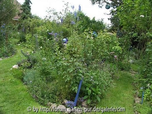 Bild 471_R.JPG